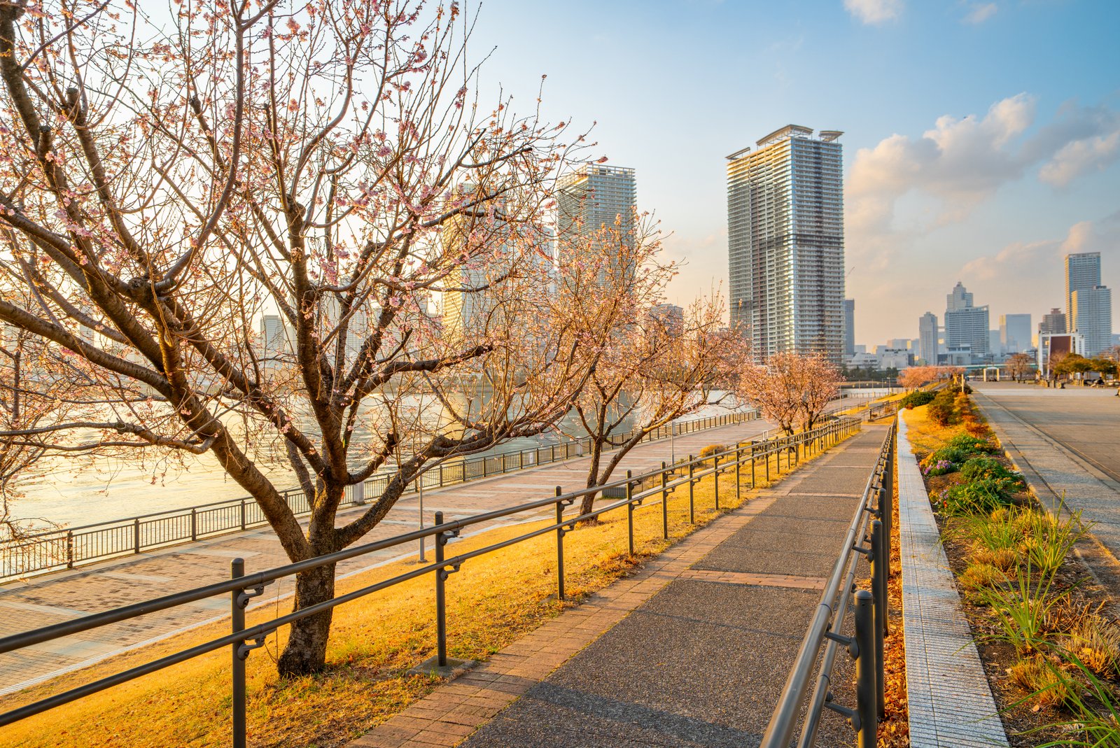 EYOJapan,Tokyo-SR 2